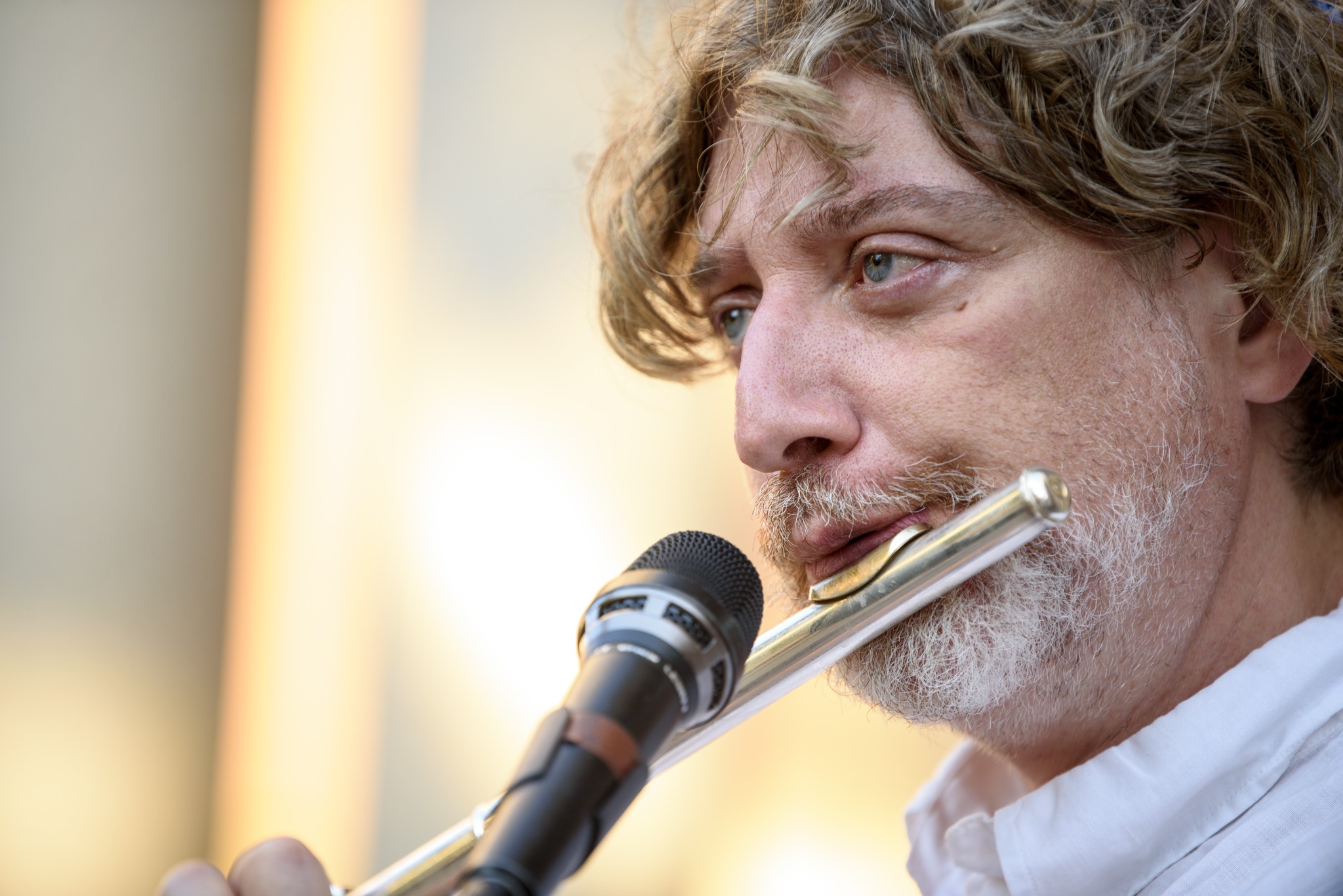 Enrico Fink — Antonio Viscido